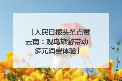 人民日报头条点赞云南：观鸟旅游带动多元消费体验