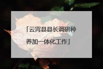 云霄县县长调研种养加一体化工作