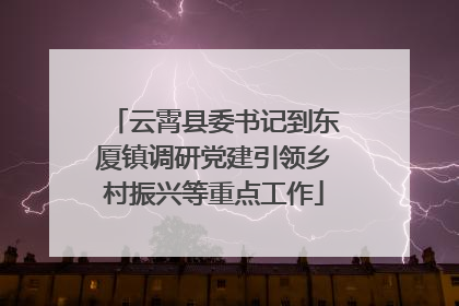 云霄县委书记到东厦镇调研党建引领乡村振兴等重点工作