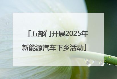 五部门开展2025年新能源汽车下乡活动