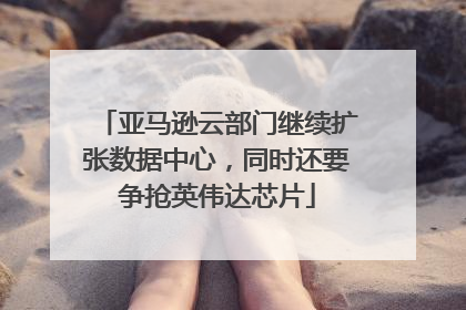 亚马逊云部门继续扩张数据中心，同时还要争抢英伟达芯片