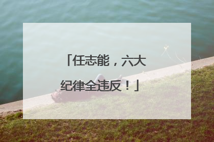 任志能，六大纪律全违反！