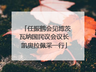 任振鹤会见博茨瓦纳国民议会议长凯奥拉佩采一行