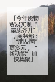 今年货物贸易实现“量质齐升”，商务部：“朋友圈”更多元，“新动能”加快集聚