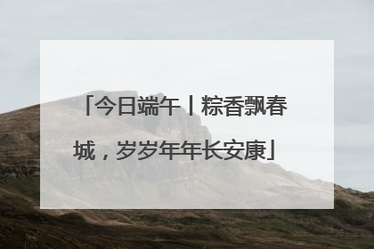 今日端午丨粽香飘春城，岁岁年年长安康