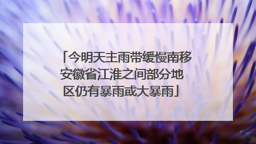 今明天主雨带缓慢南移 安徽省江淮之间部分地区仍有暴雨或大暴雨