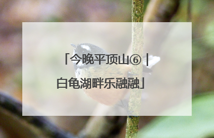 今晚平顶山⑥｜白龟湖畔乐融融