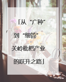 从“广种”到“细管” 关岭枇杷产业的跃升之路