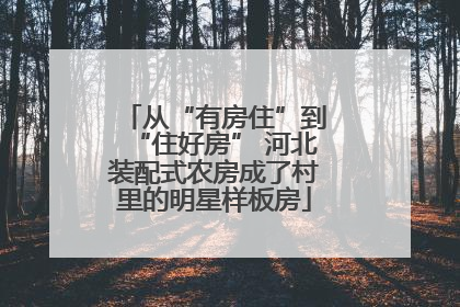 从“有房住”到“住好房” 河北装配式农房成了村里的明星样板房