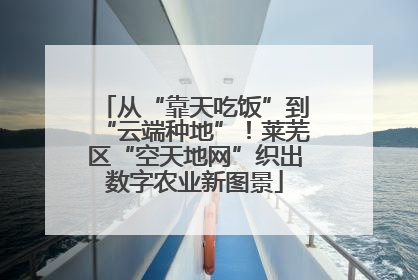 从“靠天吃饭”到“云端种地”！莱芜区“空天地网”织出数字农业新图景