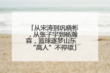 从宋涛到巩晓彬，从张子宇到杨瀚森，篮球逐梦山东“高人”不停歇