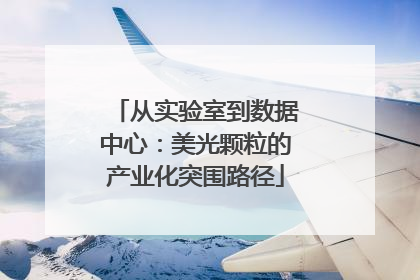 从实验室到数据中心：美光颗粒的产业化突围路径