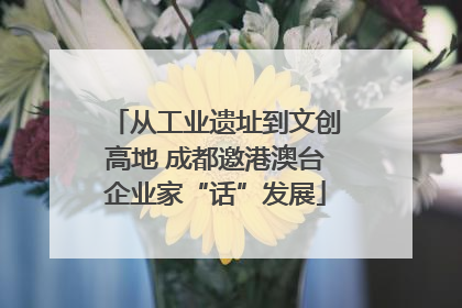 从工业遗址到文创高地 成都邀港澳台企业家“话”发展