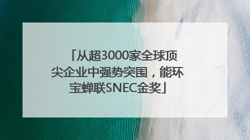 从超3000家全球顶尖企业中强势突围，能环宝蝉联SNEC金奖