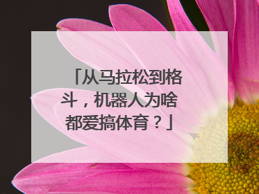 从马拉松到格斗，机器人为啥都爱搞体育？