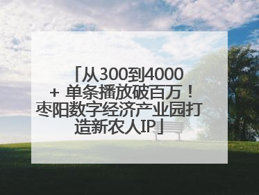 从300到4000+ 单条播放破百万！枣阳数字经济产业园打造新农人IP