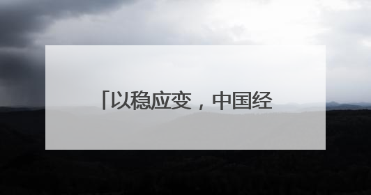 以稳应变，中国经济展现韧性与潜力