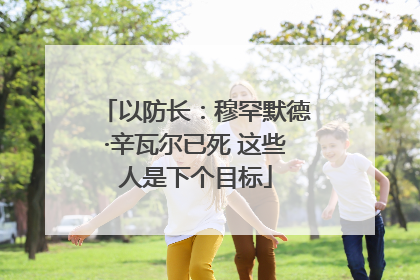 以防长：穆罕默德·辛瓦尔已死 这些人是下个目标