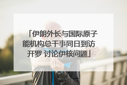 伊朗外长与国际原子能机构总干事同日到访开罗 讨论伊核问题