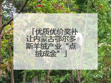 优质优价奖补让内蒙古鄂尔多斯羊绒产业“点绒成金”
