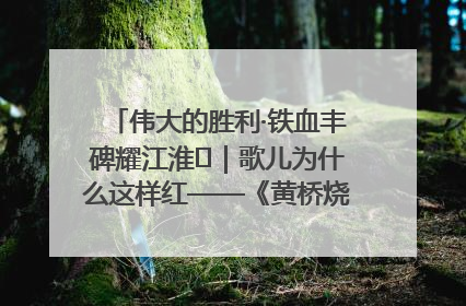 伟大的胜利·铁血丰碑耀江淮⑫｜歌儿为什么这样红——《黄桥烧饼歌》诞生记