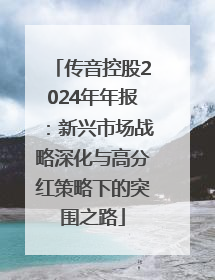 传音控股2024年年报：新兴市场战略深化与高分红策略下的突围之路