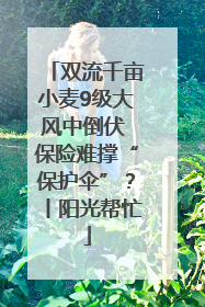 双流千亩小麦9级大风中倒伏 保险难撑“保护伞”？丨阳光帮忙