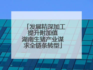 发展精深加工 提升附加值 湖南生猪产业谋求全链条转型