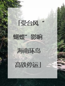 受台风“蝴蝶”影响 海南环岛高铁停运