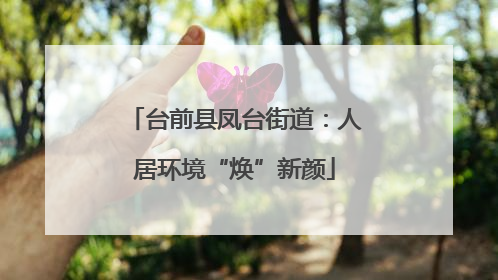 台前县凤台街道：人居环境“焕”新颜