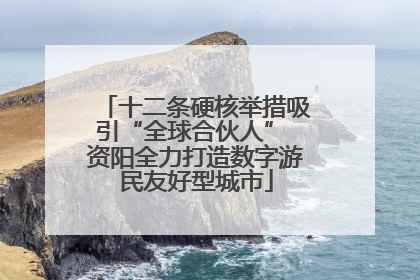 十二条硬核举措吸引“全球合伙人” 资阳全力打造数字游民友好型城市