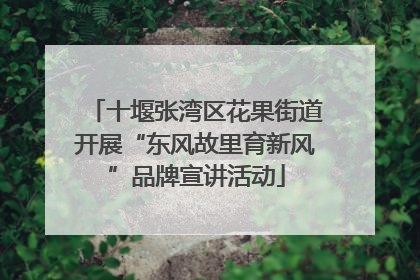 十堰张湾区花果街道开展“东风故里育新风”品牌宣讲活动