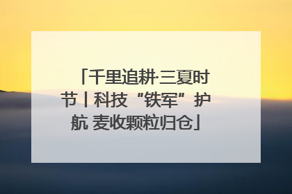 千里追耕·三夏时节丨科技“铁军”护航 麦收颗粒归仓