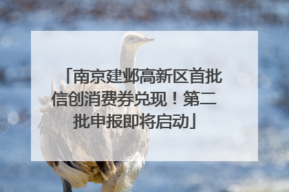 南京建邺高新区首批信创消费券兑现！第二批申报即将启动