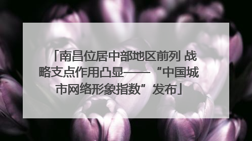南昌位居中部地区前列 战略支点作用凸显——“中国城市网络形象指数”发布