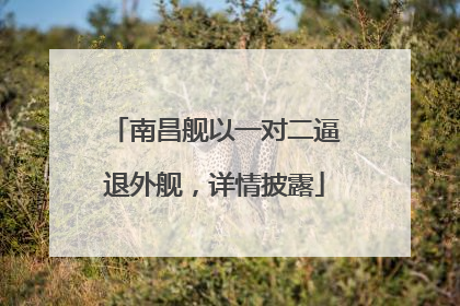 南昌舰以一对二逼退外舰，详情披露