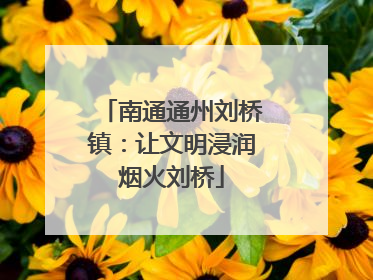 南通通州刘桥镇:让文明浸润烟火刘桥