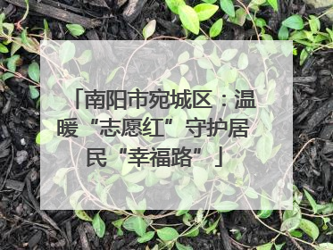 南阳市宛城区：温暖“志愿红”守护居民“幸福路”