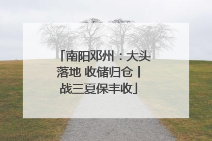 南阳邓州：大头落地 收储归仓丨战三夏保丰收