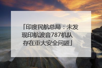 印度民航总局：未发现印航波音787机队存在重大安全问题