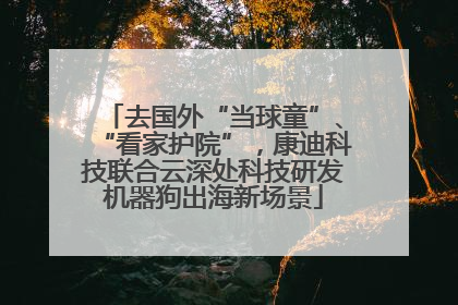 去国外“当球童”、“看家护院”，康迪科技联合云深处科技研发机器狗出海新场景