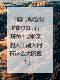 厦门海沧湖钓起72斤石斑鱼！2米深的人工湖为何有这么大的鱼？