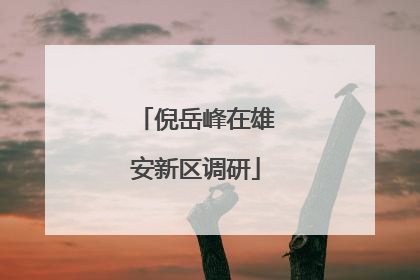 倪岳峰在雄安新区调研