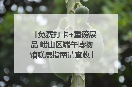 免费打卡+重磅展品 崂山区端午博物馆联展指南请查收