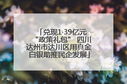 兑现1·39亿元“政策礼包” 四川达州市达川区用真金白银助推民企发展