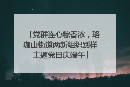党群连心粽香浓，珞珈山街道两新组织别样主题党日庆端午