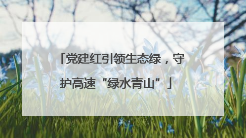 党建红引领生态绿，守护高速“绿水青山”