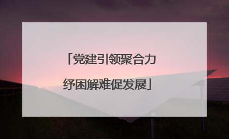 党建引领聚合力 纾困解难促发展