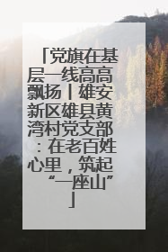 党旗在基层一线高高飘扬丨雄安新区雄县黄湾村党支部：在老百姓心里，筑起“一座山”
