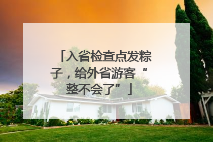 入省检查点发粽子，给外省游客“整不会了”